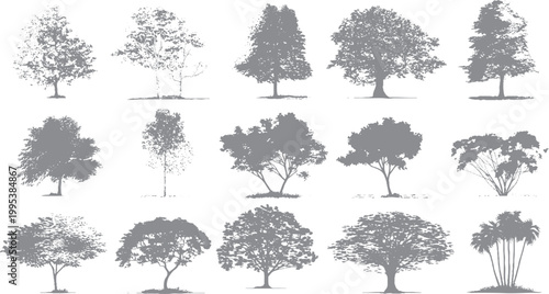 Old style forest scene with grunge overlay texture Artistic tree illustration with vintage distressed look