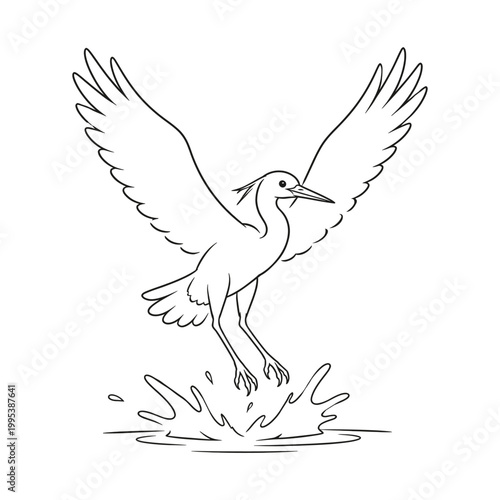 Bird in Flight with Water Splash Line Art Vector Illustration