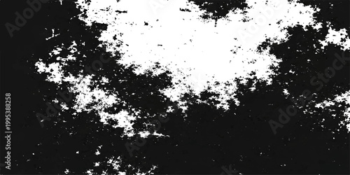 Abstract an inverted stark contrast of organic shapes against a monochrome backdrop, capturing the essence of a natural texture, pattern and form.