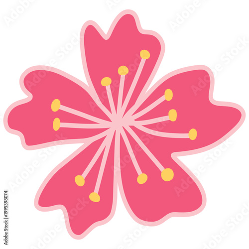 Cherry Blossom Sakura Flower Illustration Vector