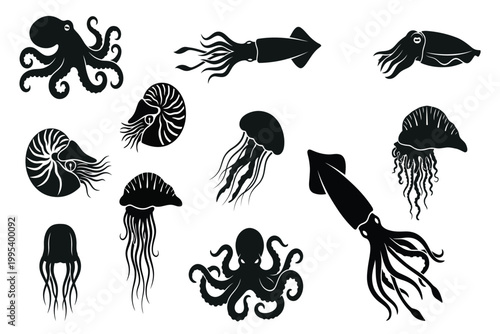collection of jellyfish and octopuses isolated on transparent background