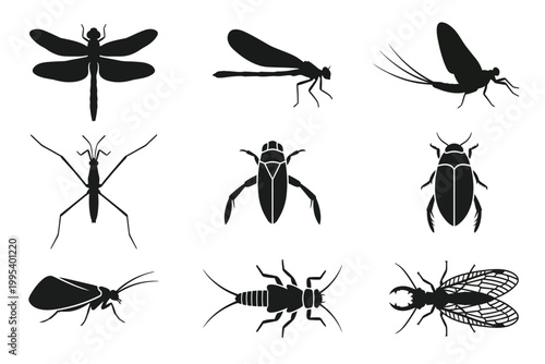 collection of insect silhouettes isolated on transparent background
