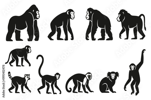 collection of monkey silhouettes in various poses isolated on transparent background