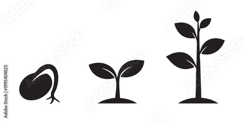 Seed Germination and Plant Growth Cycle Silhouettes