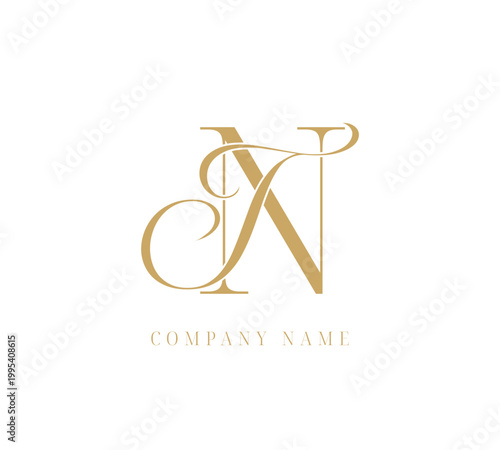 TN NT abstract letters logo monogram
