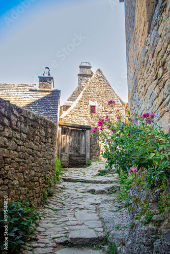 Narrow cobblestone street and medieval stone houses in Beynac France