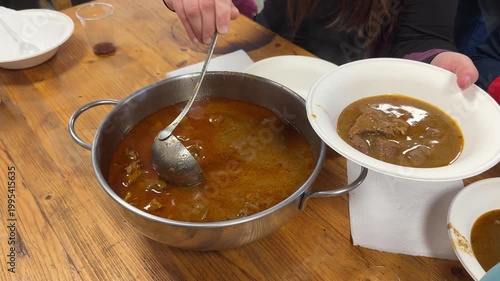 Close-up shot of a woman's hand using a large spoon to put boar stew onto a plate