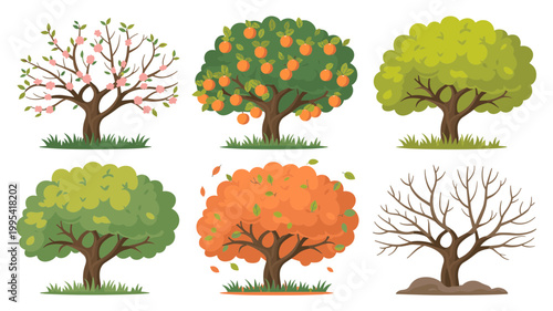 Seasonal Fruit Trees Vector Set Apple and Orange Trees Growth Stages