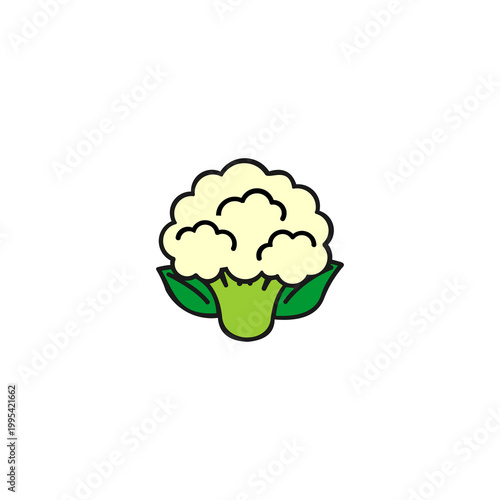 A flat vector illustration of a head of cauliflower with a light cream-colored floret top and a bright green stem.