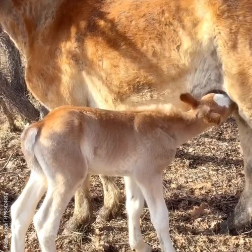mother and baby