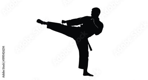 Silhouette of a man in a martial arts uniform performing a high kick