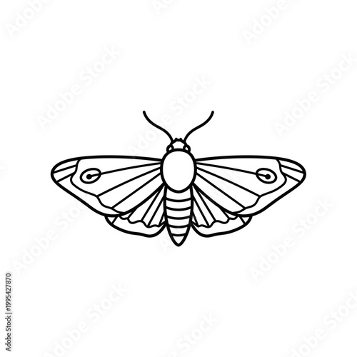 Minimalist black line art moth vector illustration