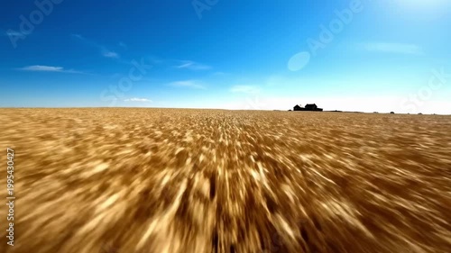 Golden Wheat Crop Field Fast Motion Grain Agriculture