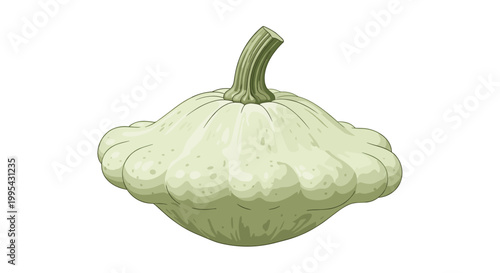 Single white pattypan squash vegetable with a green stem isolated on a plain white background for healthy eating and farm concepts.