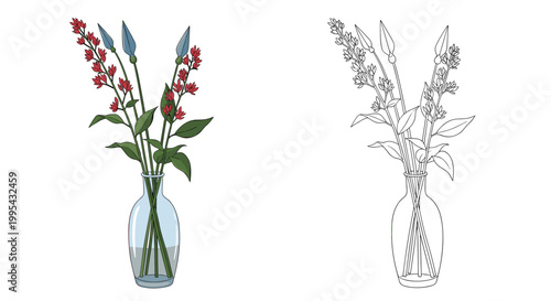 Set showing a beautiful bouquet of red flowers and blue buds in a clear glass vase in both full color and black and white outline.
