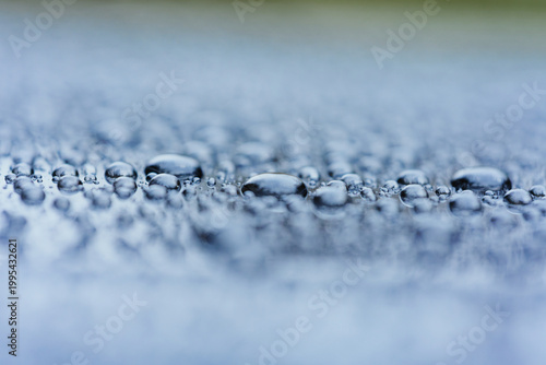 ボンネットの水玉