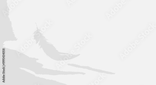 Single Feather Floating Down, Soft Shadows, Minimalist White Background, Gentle Movement