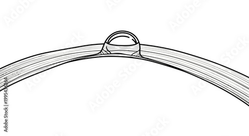 Technical vector drawing of a musical cymbal bell section