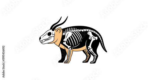 Stylized horned mammal illustration with internal skeleton anatomy