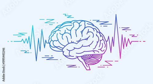 Brain wave and eeg concept, human brain with colorful pulse line and waveform