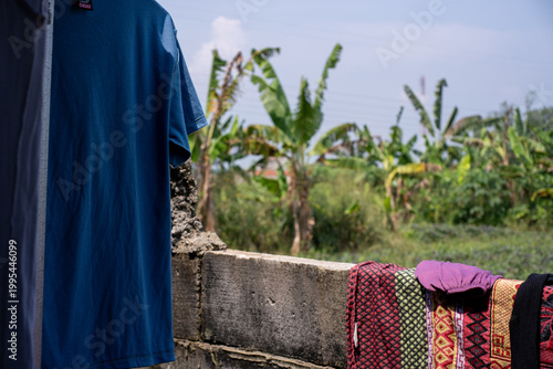 Blue shirt and patterned blanket drying outside near banana trees