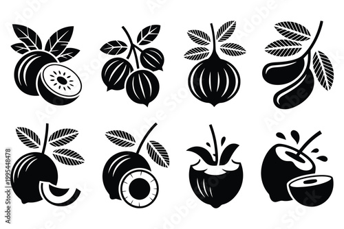 Fruit silhouette collection set black icons vector illustration. Perfect for food branding and organic design.