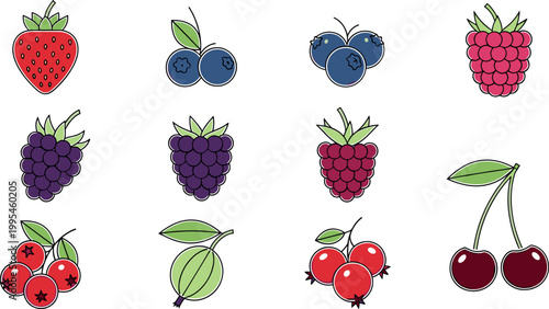 Berry fruit vector icon set with strawberry blueberry raspberry blackberry cherry gooseberry in hand drawn outline style