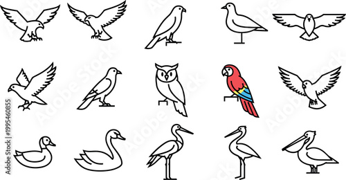 Bird icon set with outline and one colored parrot featuring owl duck swan pelican in minimal vector style