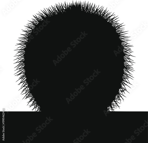 A dark black silhouette of a prickly barrel cactus plant.
