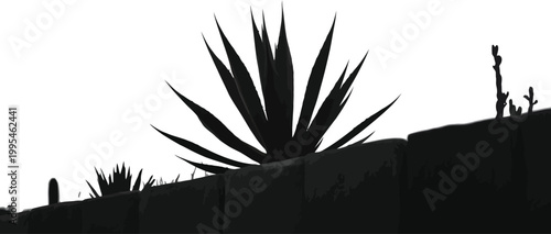 Desert Agave and Cactus Garden Silhouette