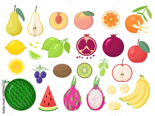 Fruit set, harvest. Vector Illustration for printing, backgrounds, covers and packaging. Image can be used for greeting cards, posters, stickers and textile. Isolated on white background.
