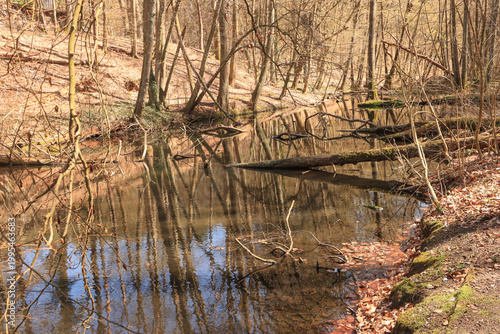 Wildromantisches Schlaubetal 