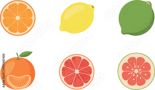 Citrus fruit vector icon set with orange lemon lime grapefruit slices in colorful flat minimal illustration style