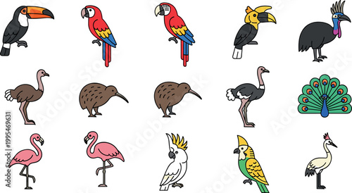 Colorful flat bird icon set featuring parrot toucan flamingo peacock kiwi cassowary vector collection for wildlife nature design