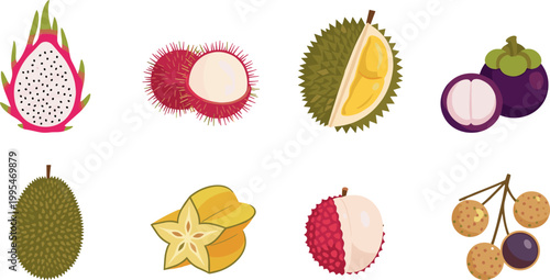 Colorful flat exotic tropical fruit icon set featuring dragon fruit rambutan durian mangosteen lychee vector collection for healthy food design