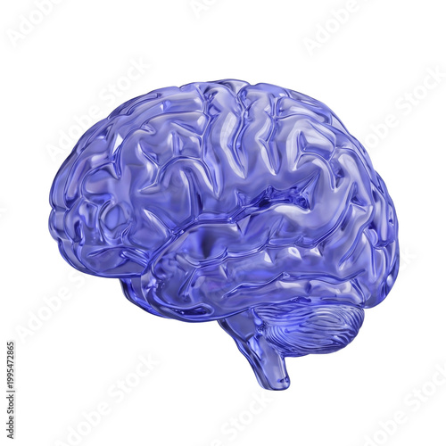 Transparent blue brain model representing intelligence and thinking