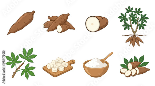 Detailed illustration collection featuring raw cassava roots, chopped vegetable slices, green leaves, and a wooden bowl filled with white starch