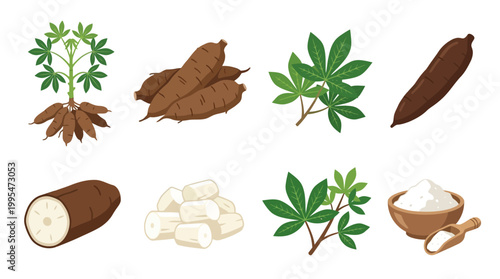 Detailed set of fresh cassava roots, green leaves, chopped tubers, and a wooden bowl filled with white tapioca starch powder