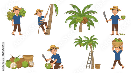 Happy coconut farmers wearing straw hats demonstrate harvesting techniques and various tasks involved in processing fresh tropical fruit for market consumption