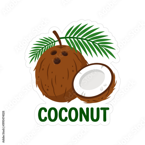 A detailed illustration of a fresh brown coconut featuring a split piece and a green palm leaf artistic design