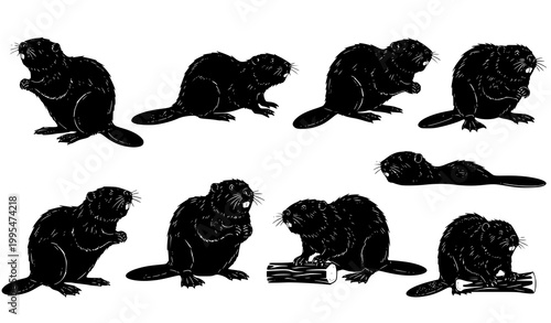 Beaver silhouette vector set with multiple wildlife poses for nature and animal design