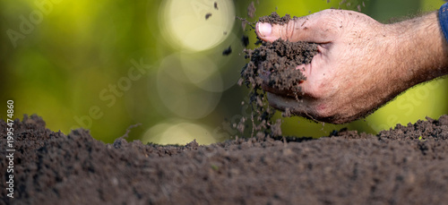 Fotografija Hands hold soil and organic fertilizer