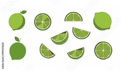 Minimal lime fruit vector slices wedges citrus illustration set