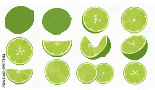 Lime fruit collection vector whole sliced citrus fresh food illustration