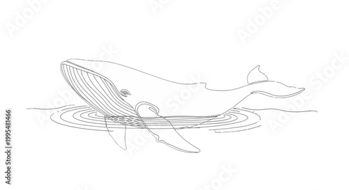 Detailed Line Art Whale Swimming on Water Ripples Isolated White Background
