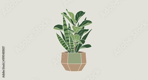 Modern Potted Houseplants | Snake Plant and Fiddle Leaf Fig