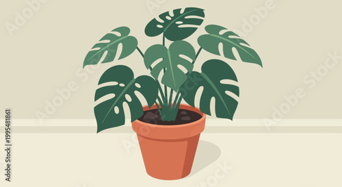 Monstera Deliciosa Plant in Terracotta Pot, Interior Design, Houseplant