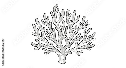 Serene Coral Reef Illustration with Light Gray Fill, Underwater Plant, isolated white background