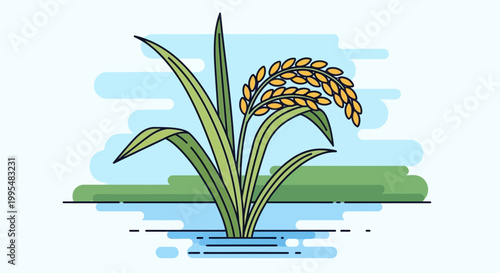 Rice Plant in Watery Field, Flat Design, Agricultural Concept
