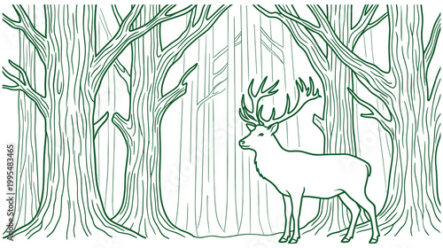 Wild deer standing among tall trees in deep forest line art vector art.